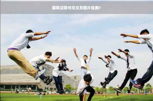 国税证明书范文及图片指南?