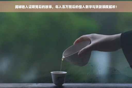 揭秘收入证明背后的故事，年入百万背后的惊人数字与贷款额度解析！