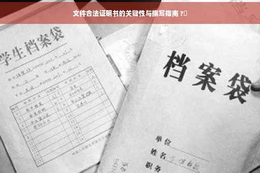 文件合法证明书的关键性与撰写指南 ?✨