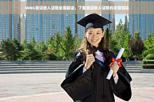 IANG签证收入证明全面解读，了解签证收入证明的关键信息