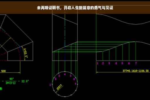 未再婚证明书，开启人生新篇章的勇气与见证