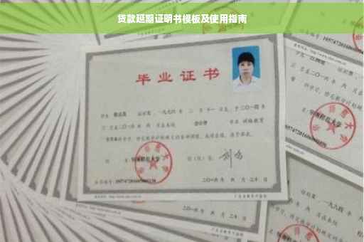 贷款延期证明书模板及使用指南