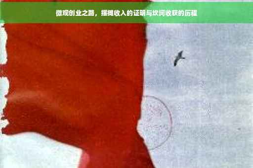 微观创业之路，摆摊收入的证明与坎坷收获的历程