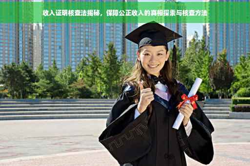 收入证明核查法揭秘，保障公正收入的真相探索与核查方法