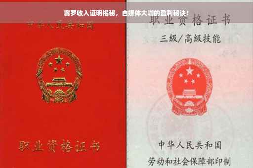 赛罗收入证明揭秘，自媒体大咖的盈利秘诀！