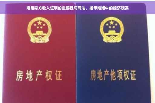 婚后男方收入证明的重要性与写法，揭示婚姻中的经济现实