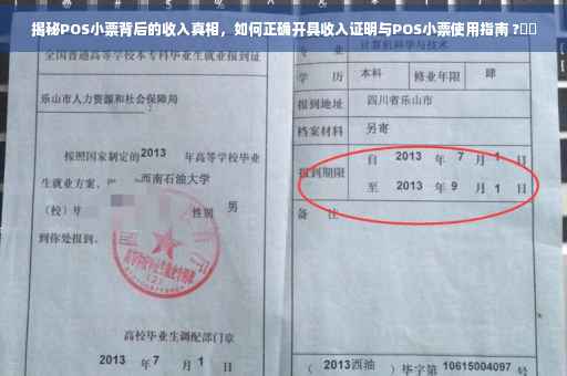 揭秘POS小票背后的收入真相，如何正确开具收入证明与POS小票使用指南 ?⚡️