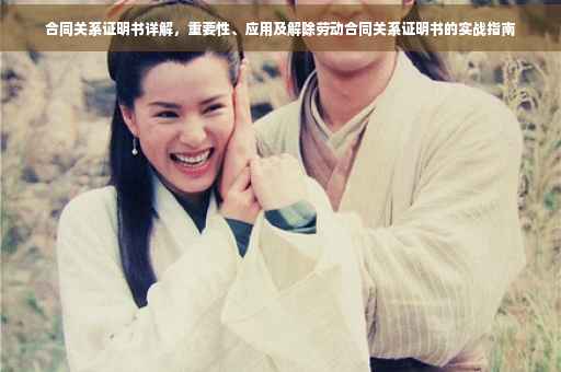 合同关系证明书详解，重要性、应用及解除劳动合同关系证明书的实战指南