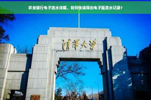 农业银行电子流水详解，如何快速导出电子版流水记录？