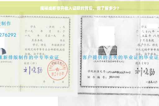 揭秘成都带开收入证明的背后，你了解多少？