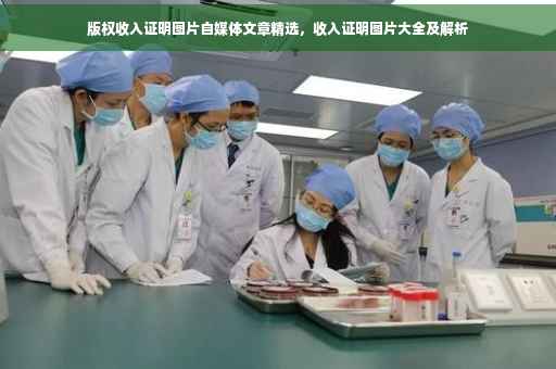版权收入证明图片自媒体文章精选，收入证明图片大全及解析