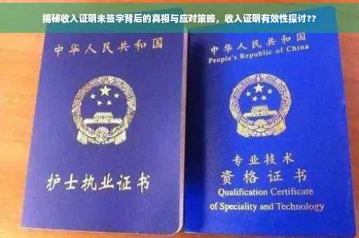 揭秘收入证明未签字背后的真相与应对策略，收入证明有效性探讨??