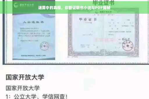 迷雾中的真相，诊断证明书小说与PDF揭秘