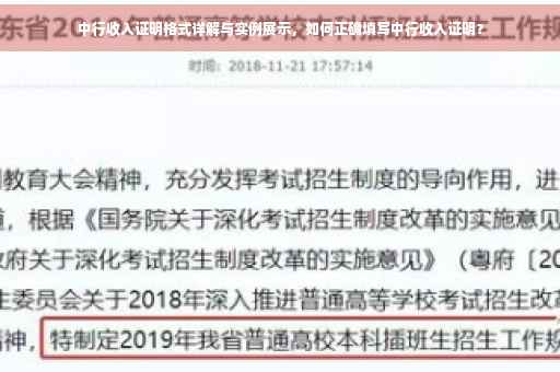 中行收入证明格式详解与实例展示，如何正确填写中行收入证明？