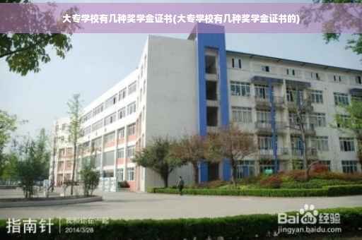 大专学校有几种奖学金证书(大专学校有几种奖学金证书的)