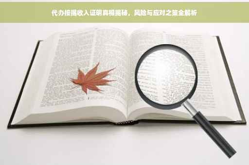 代办按揭收入证明真相揭秘，风险与应对之策全解析