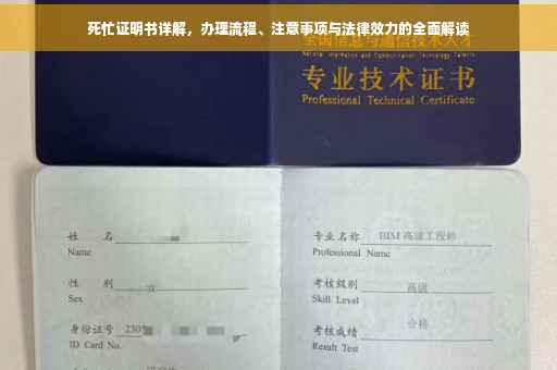 死忙证明书详解，办理流程、注意事项与法律效力的全面解读