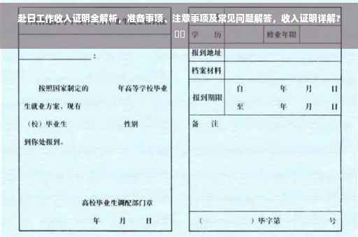 赴日工作收入证明全解析，准备事项、注意事项及常见问题解答，收入证明详解?⚡️