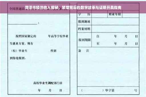 菏泽市经济收入揭秘，繁荣背后的数字故事与证明开具指南