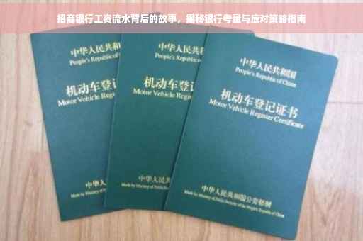 招商银行工资流水背后的故事，揭秘银行考量与应对策略指南