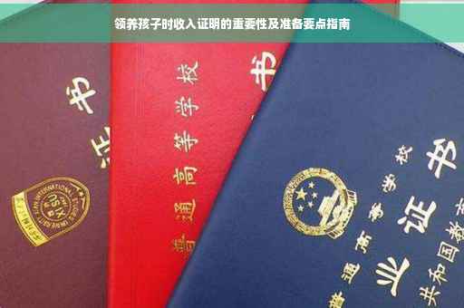 领养孩子时收入证明的重要性及准备要点指南