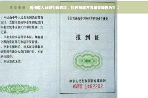 揭秘收入证明办理速度，快速获取方法与查询技巧?⚡️