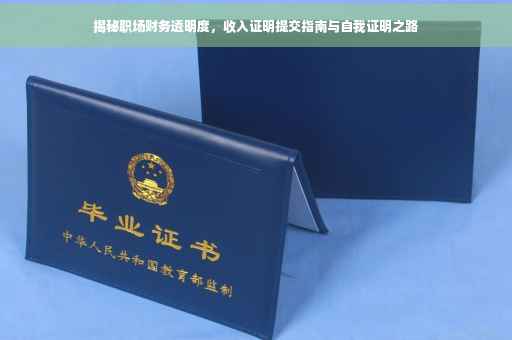 揭秘职场财务透明度，收入证明提交指南与自我证明之路