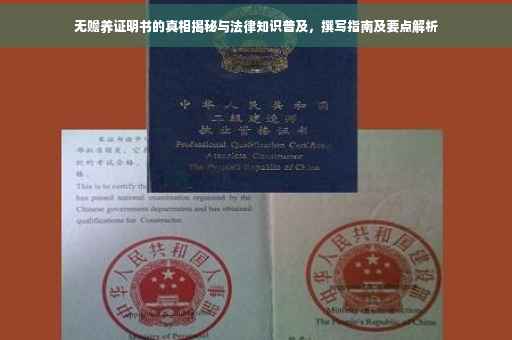 无赡养证明书的真相揭秘与法律知识普及，撰写指南及要点解析