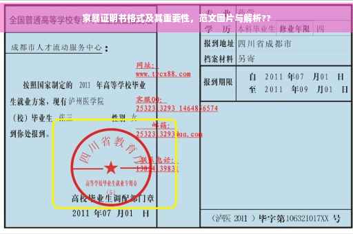家暴证明书格式及其重要性，范文图片与解析??