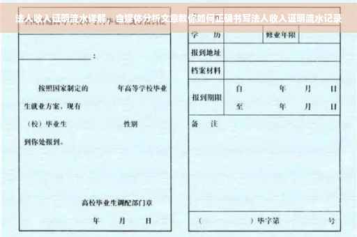 法人收入证明流水详解，自媒体分析文章教你如何正确书写法人收入证明流水记录