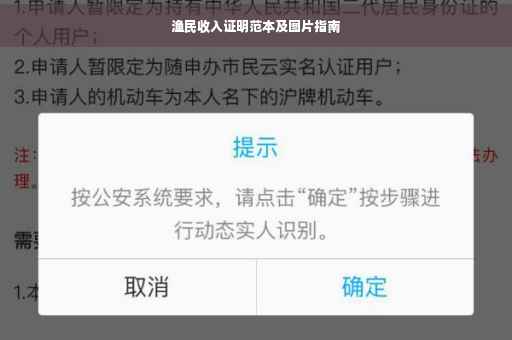 渔民收入证明范本及图片指南