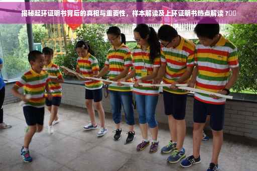 揭秘起环证明书背后的真相与重要性，样本解读及上环证明书热点解读 ?⚡️