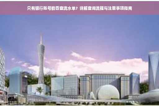 只有银行账号能否查流水单？详解查询流程与注意事项指南