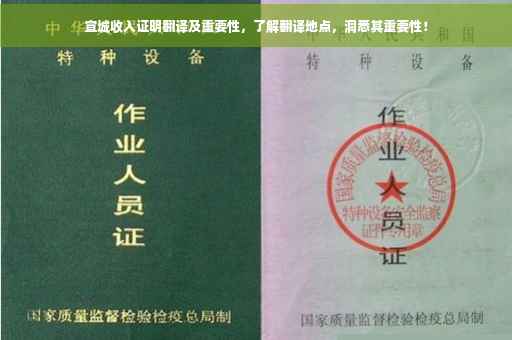 宣城收入证明翻译及重要性，了解翻译地点，洞悉其重要性！