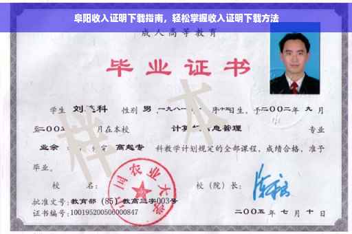 阜阳收入证明下载指南，轻松掌握收入证明下载方法