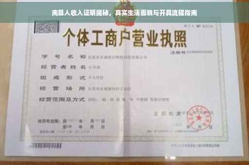 南昌人收入证明揭秘，真实生活面貌与开具流程指南