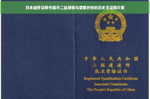日本战俘证明书揭示二战屈辱与荣耀并存的历史见证图片展