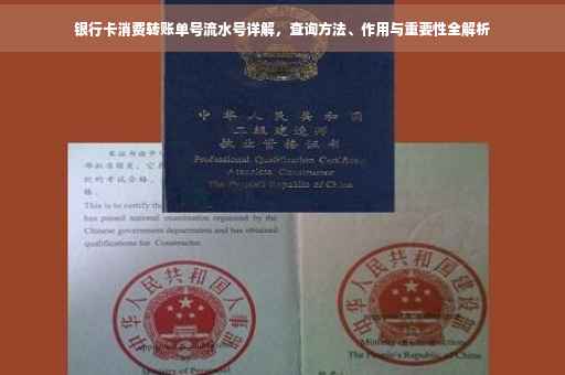 银行卡消费转账单号流水号详解，查询方法、作用与重要性全解析