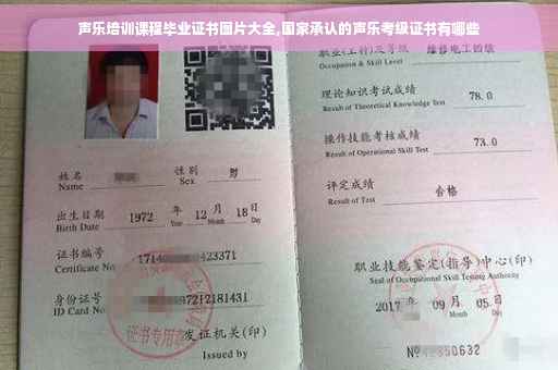 声乐培训课程毕业证书图片大全,国家承认的声乐考级证书有哪些