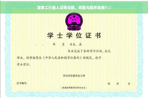 宜春工行收入证明详解，获取与解析指南?⚡️