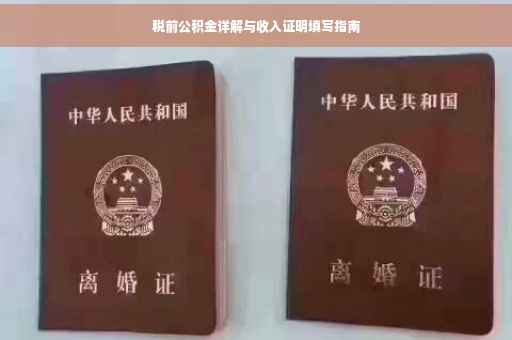 税前公积金详解与收入证明填写指南