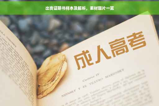 出资证明书样本及解析，素材图片一览