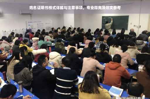 姓名证明书格式详解与注意事项，专业指南及范文参考