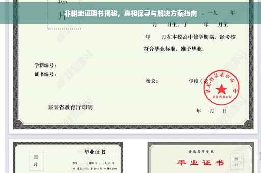 非耕地证明书揭秘，真相探寻与解决方案指南