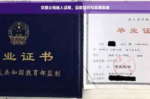 交换父母收入证明，深度探讨与实用指南