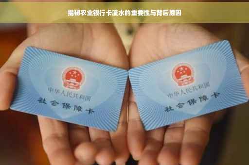 揭秘农业银行卡流水的重要性与背后原因