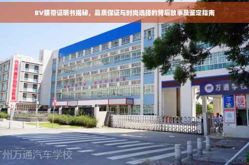 BV腰带证明书揭秘，品质保证与时尚选择的背后故事及鉴定指南