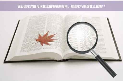 银行流水详解与现金流量表填制指南，按流水巧制现金流量表??