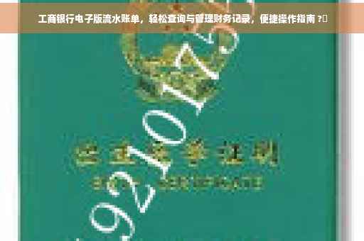 工商银行电子版流水账单，轻松查询与管理财务记录，便捷操作指南 ?✨