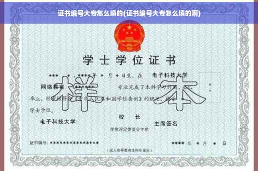证书编号大专怎么填的(证书编号大专怎么填的啊)